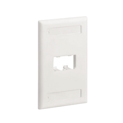 Placa de Pared Vertical Clásica, Salida Para 2 Puertos Mini-Com, Con Espacios Para Etiquetas, Color Blanco CFPL2WHY