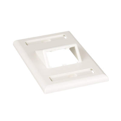 Placa de Pared Vertical Clásica, Salida Para 2 Puertos Mini-Com Inclinados, Con Espacios Para Etiquetas, Color Blanco Mate CFPSL2IWY