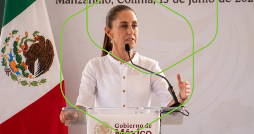 Planta Teresa Urrea Chávez en Manzanillo