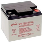 Batería sellada 12V 38AH Ácido Plomo NP38-12 Borne al poste Terminal M5  NP38-12B