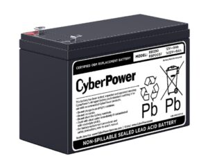 RB1290 CyberPower