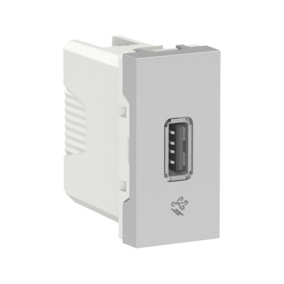 CONTACTO USB, 1 MÓDULO, CHARGE 2.0, 1 A, S70547074 SCHNEIDER ELECTRIC