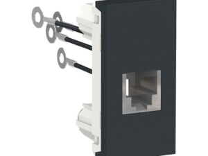 TOMA RJ11, 1 MÓDULO, 4 HILOS, GRAFITO. S70549194 SCHNEIDER ELECTRIC