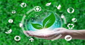 Marketing Digital y Sostenibilidad: Estrategias para Empresas del Futuro | Elías Isaac Páez Espinoza
