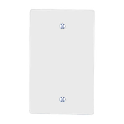 Placa de plástico blanca ciega - 8800440