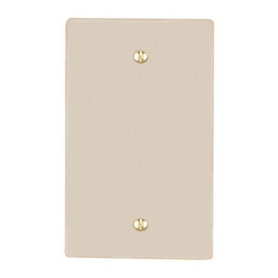 Placa de plástico marfil ciega - 8800441