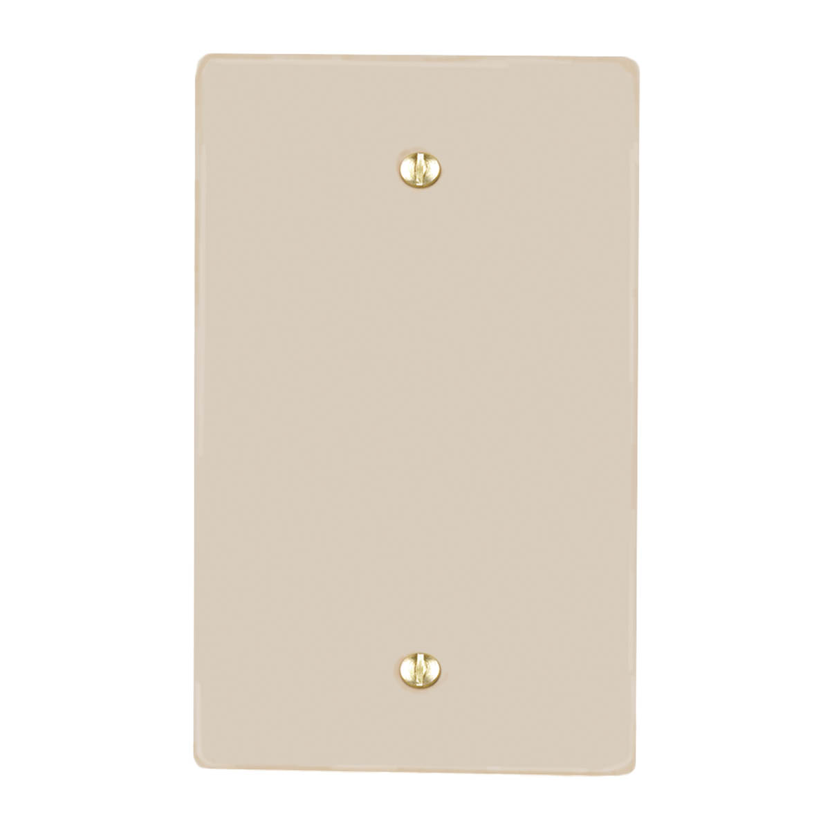 Placa de plástico marfil ciega - 8800441 | Placa de plástico marfil ciega - 8800441