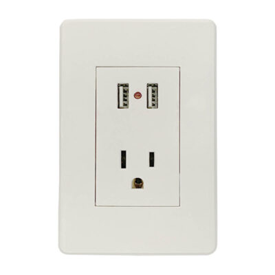 Conector polarizado y dos entradas USB con placa blanca - 8840935