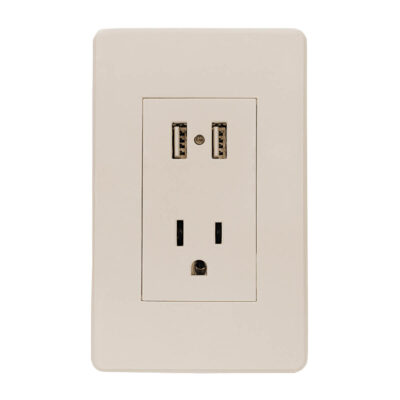 Conector polarizado y dos entradas USB con placa marfil - 8840936