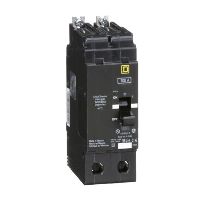 Interruptor Termomagnético Para Tablero Nf  2 Polos 100 A  Atornillable - EJB24100