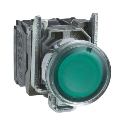 Pulsador Verde Luminoso Diametro 22 - Retorno Resorte Nivelado - 250 V - 1 Na + 1 Nc - XB4BW3365