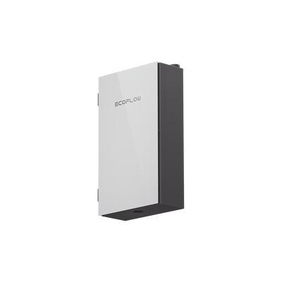 Smart Home Panel 2 de ECOFLOW para Transferencia Automática de Energía, Compatible con EFDPUBP EFPD303