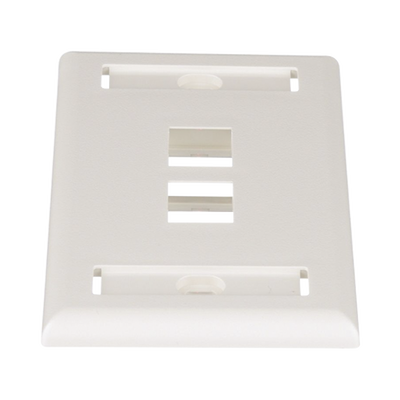 Placa de Pared Vertical, Salida Para 2 Puertos Keystone, Con Espacios Para Etiquetas, Color Blanco Mate  NK2FIWY